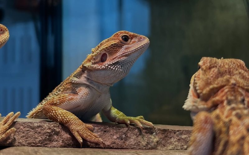 558450704_17915775087207676_2860681275742619764_n